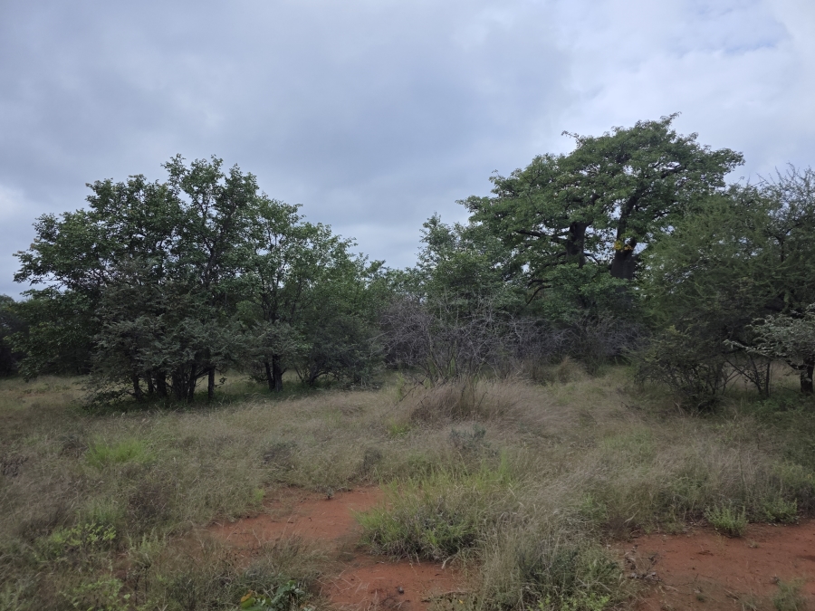 4 Bedroom Property for Sale in Alldays Limpopo