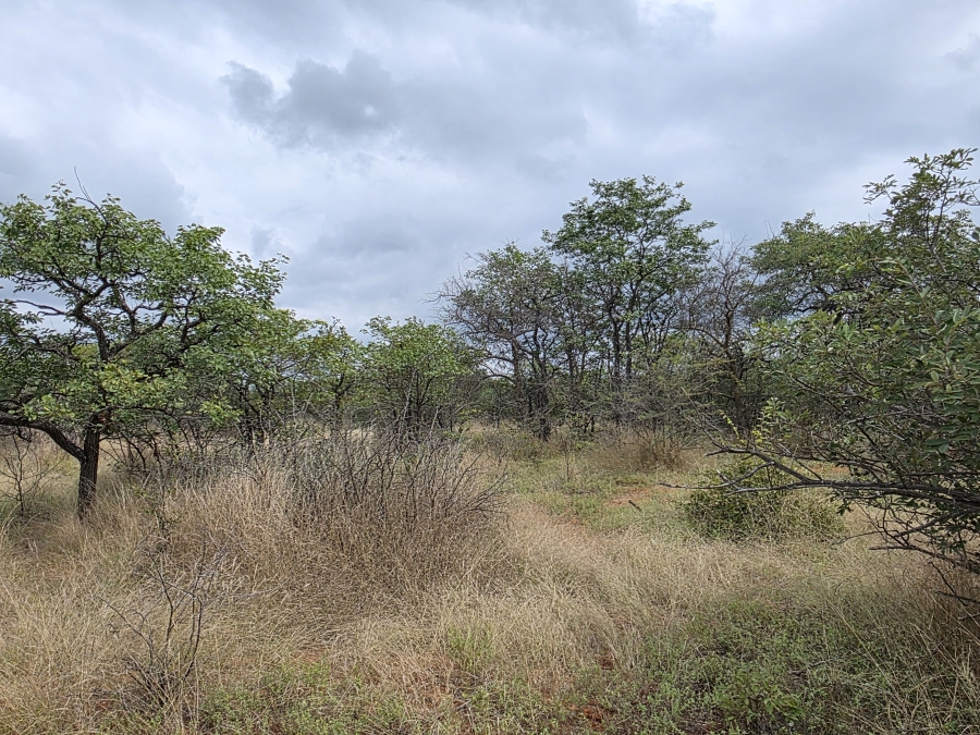4 Bedroom Property for Sale in Alldays Limpopo