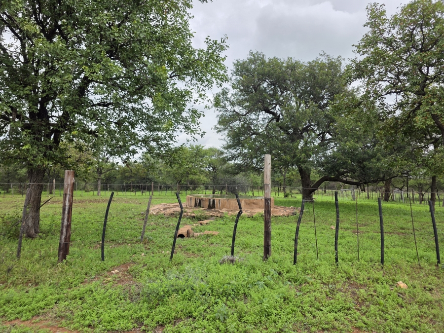 4 Bedroom Property for Sale in Alldays Limpopo