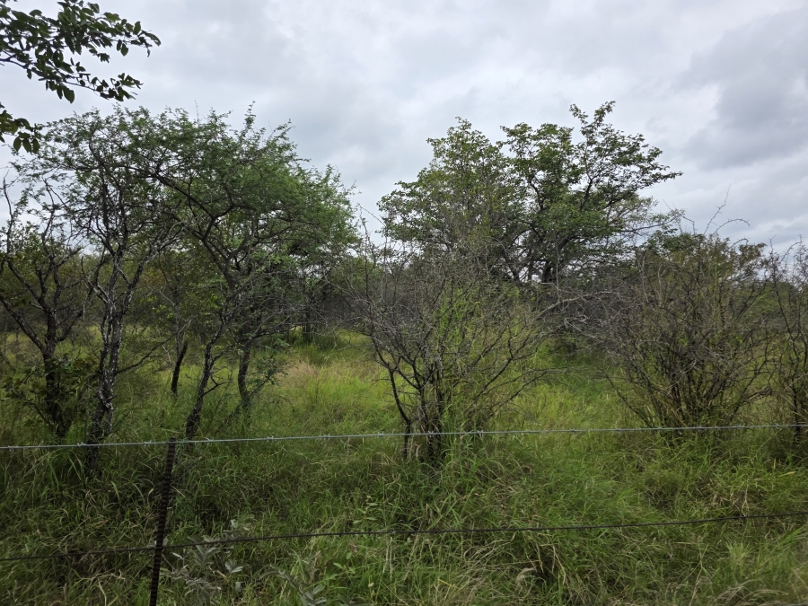 4 Bedroom Property for Sale in Alldays Limpopo