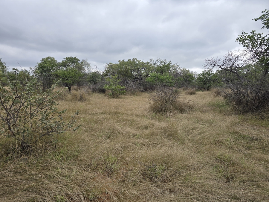 4 Bedroom Property for Sale in Alldays Limpopo