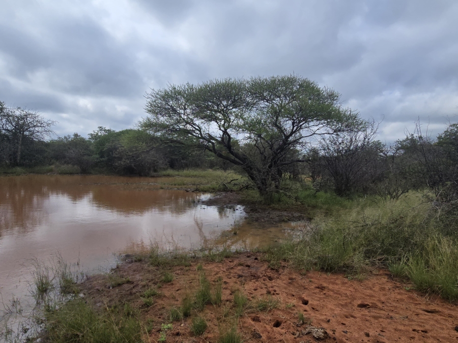 4 Bedroom Property for Sale in Alldays Limpopo