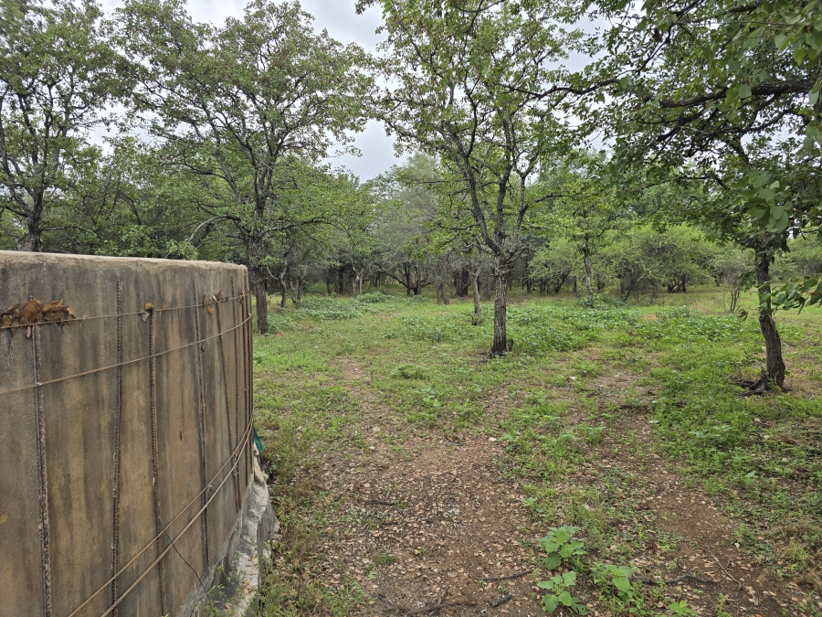 4 Bedroom Property for Sale in Alldays Limpopo
