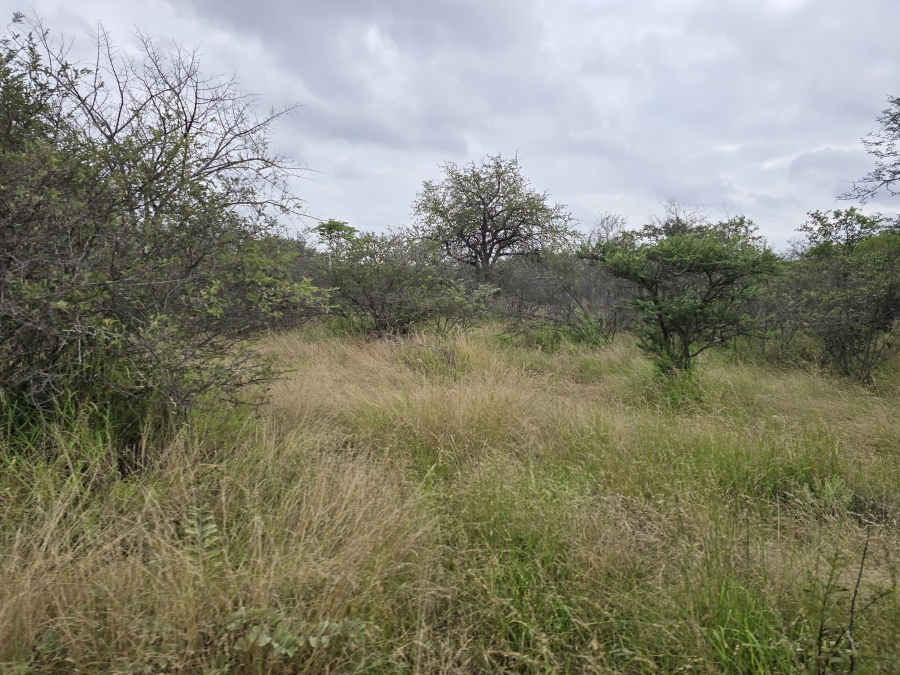 4 Bedroom Property for Sale in Alldays Limpopo