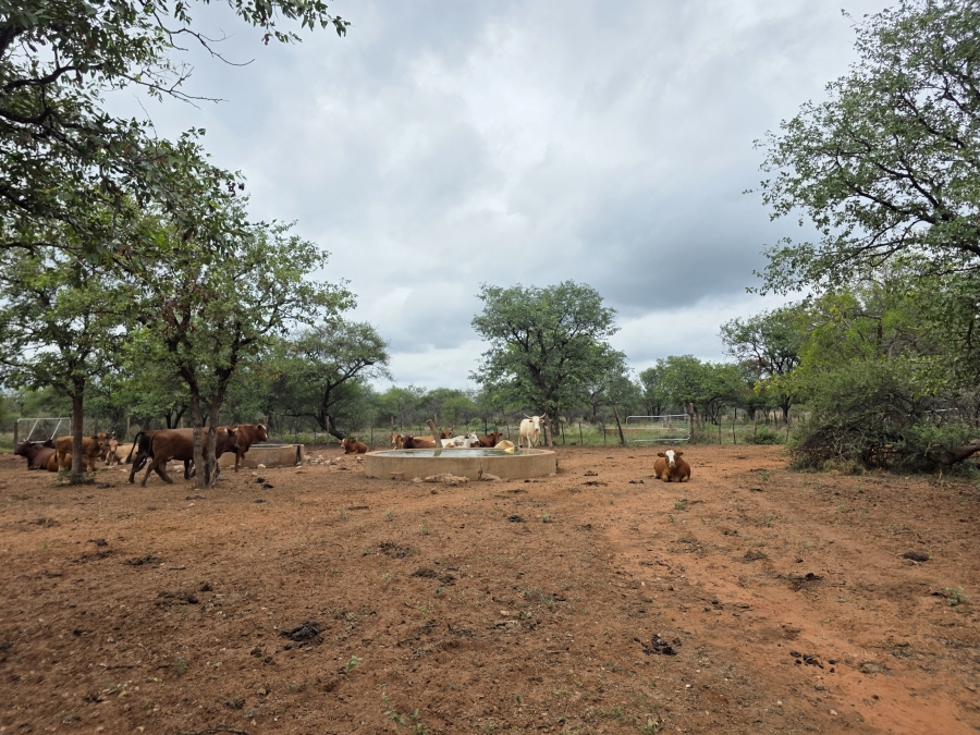4 Bedroom Property for Sale in Alldays Limpopo