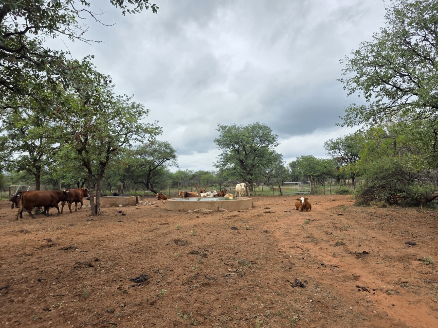 4 Bedroom Property for Sale in Alldays Limpopo