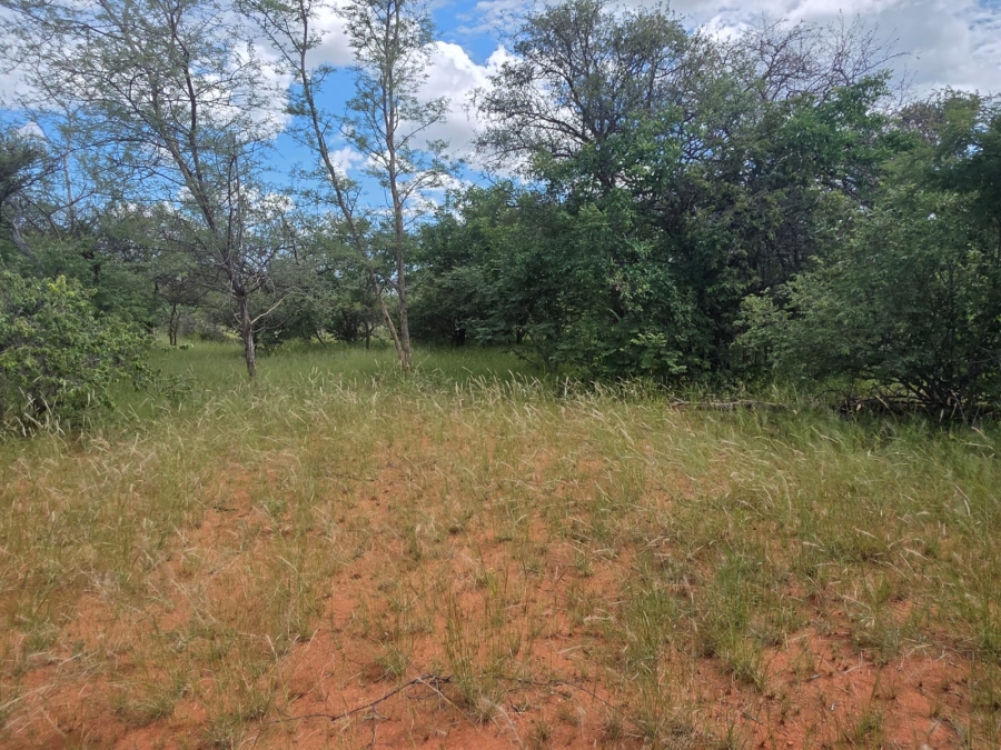 4 Bedroom Property for Sale in Tom Burke Limpopo