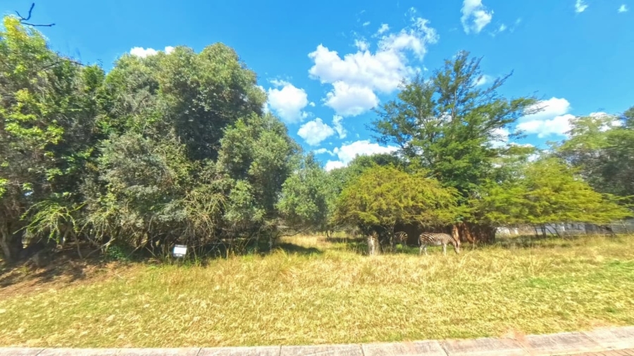 0 Bedroom Property for Sale in Koro Creek Golf Estate Limpopo