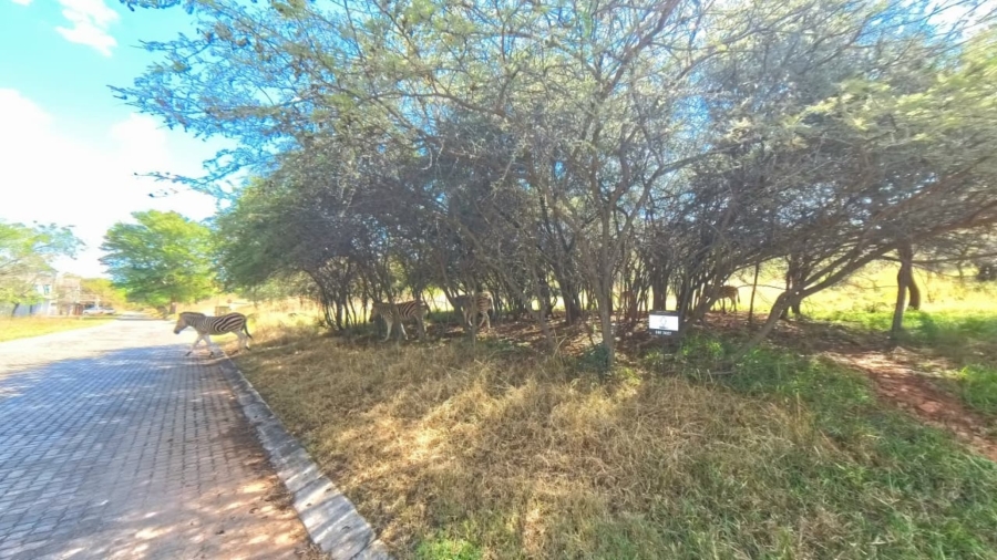 0 Bedroom Property for Sale in Koro Creek Golf Estate Limpopo