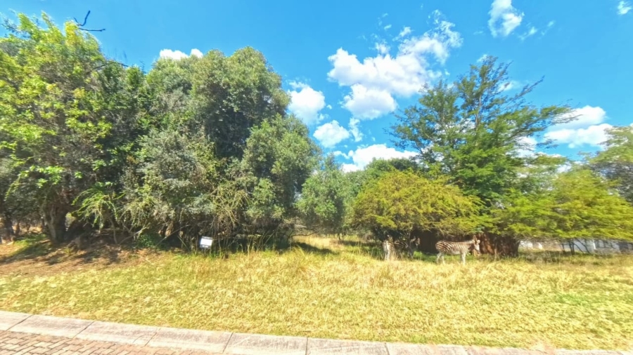 0 Bedroom Property for Sale in Koro Creek Golf Estate Limpopo