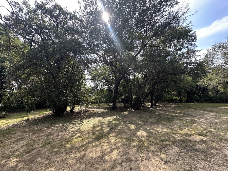 5 Bedroom Property for Sale in Hoedspruit Rural Limpopo
