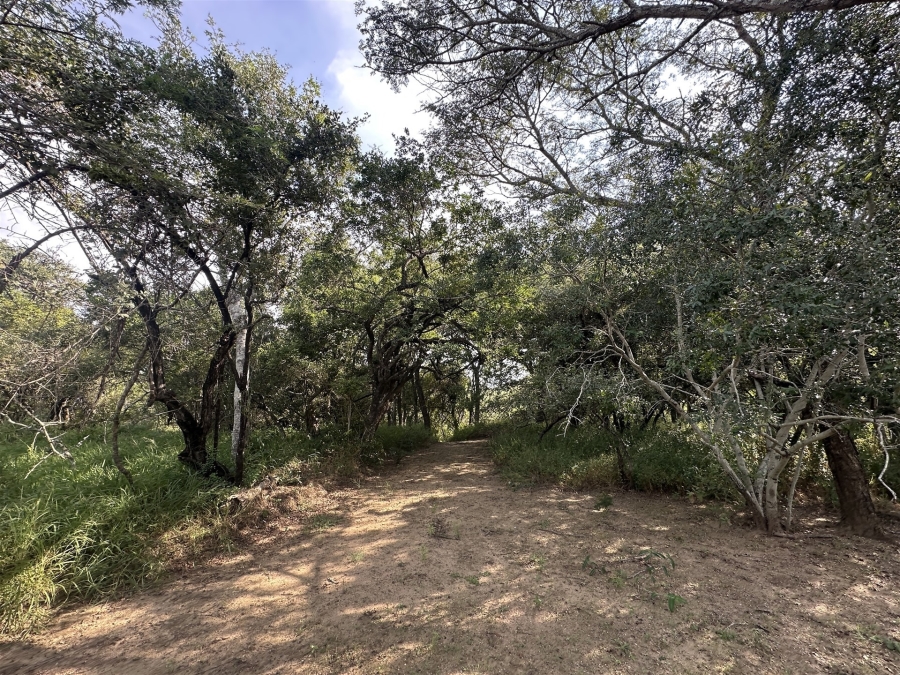 5 Bedroom Property for Sale in Hoedspruit Rural Limpopo