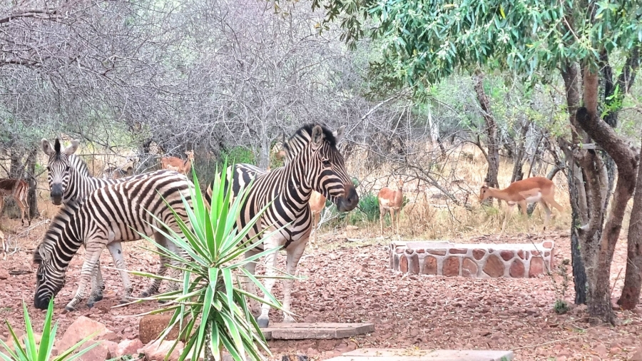 0 Bedroom Property for Sale in Koro Creek Golf Estate Limpopo