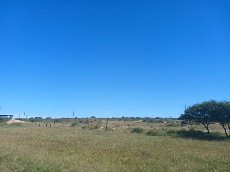 0 Bedroom Property for Sale in Botlokwa Limpopo