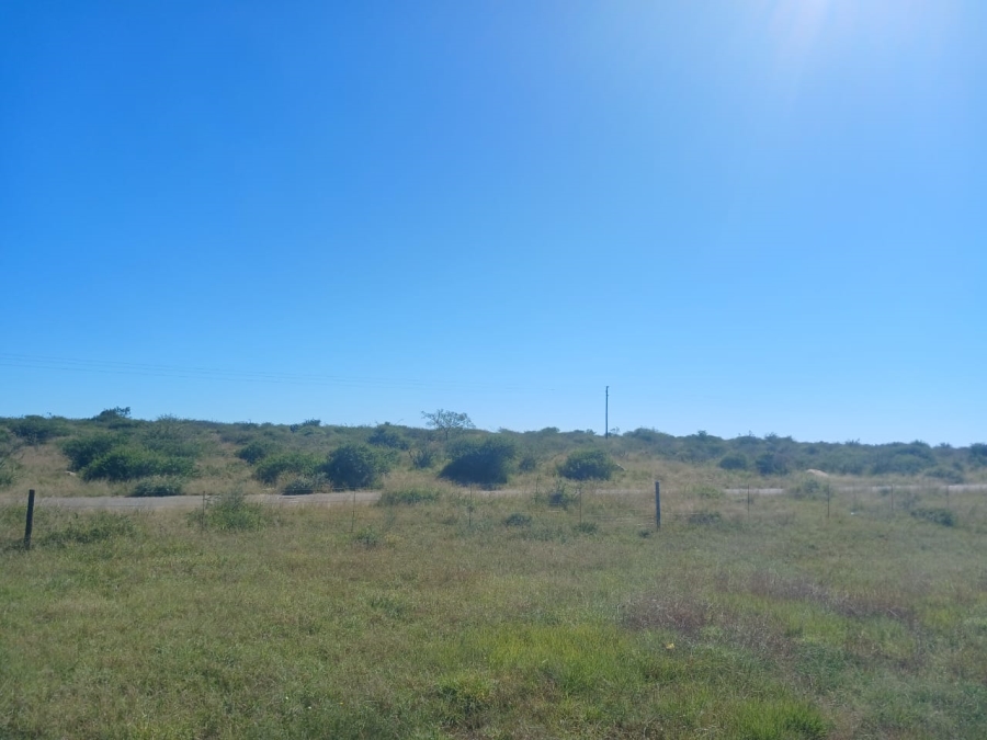 0 Bedroom Property for Sale in Botlokwa Limpopo