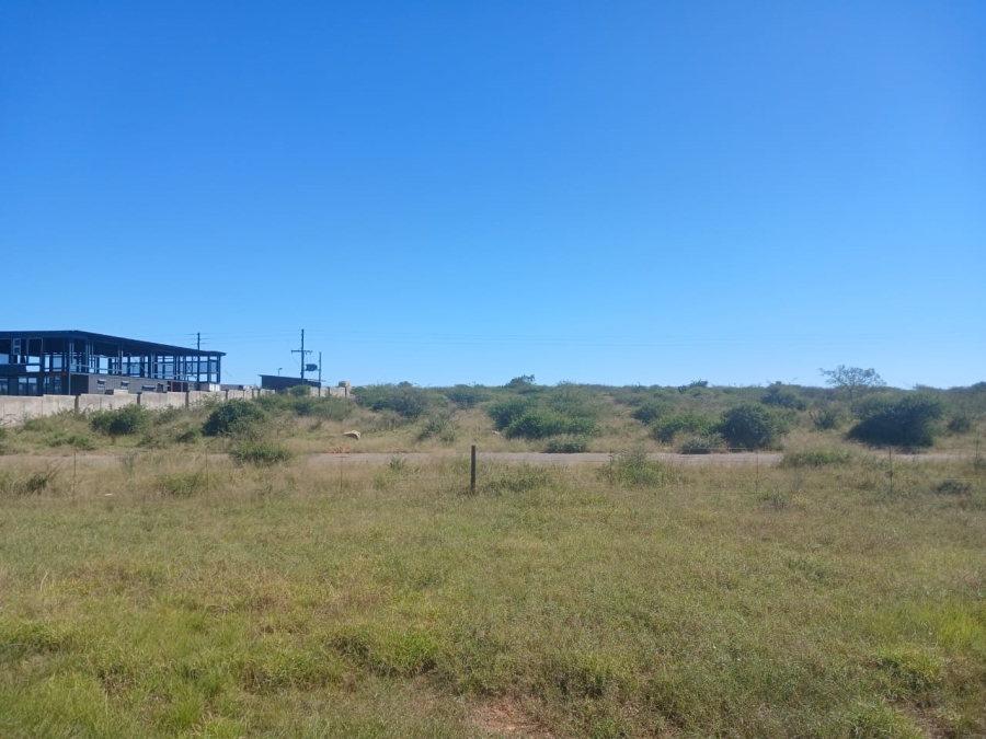 0 Bedroom Property for Sale in Botlokwa Limpopo