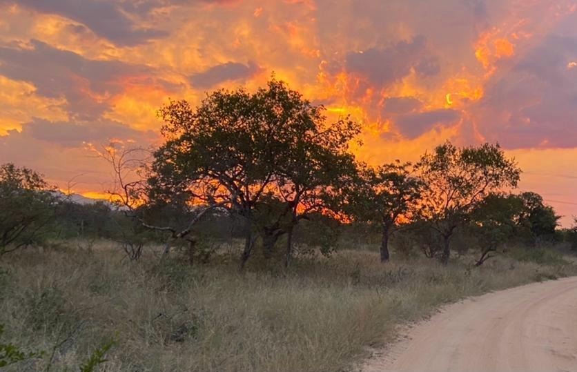 4 Bedroom Property for Sale in Lissataba Private Nature Reserve Limpopo