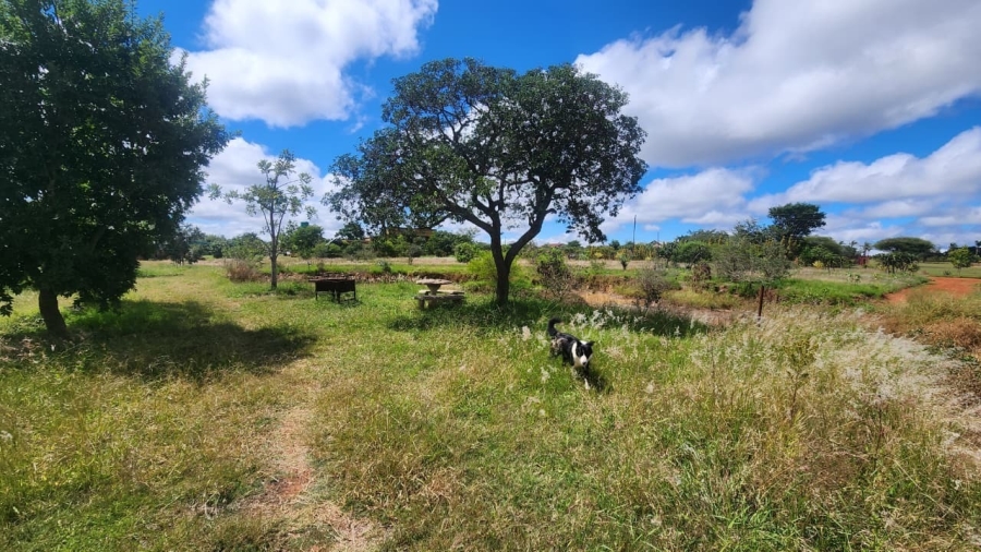 3 Bedroom Property for Sale in Myngenoegen A H Limpopo