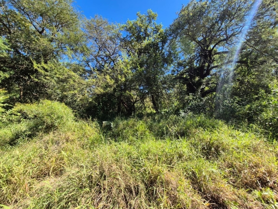 0 Bedroom Property for Sale in Gravelotte Limpopo