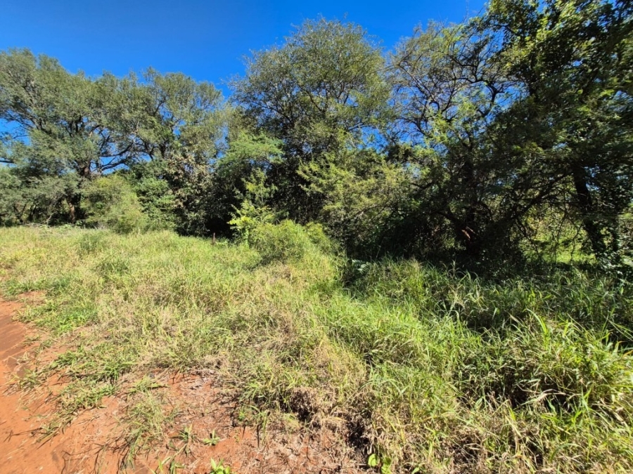 0 Bedroom Property for Sale in Gravelotte Limpopo