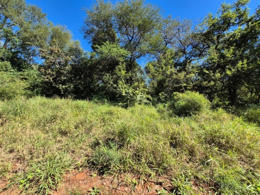 0 Bedroom Property for Sale in Gravelotte Limpopo