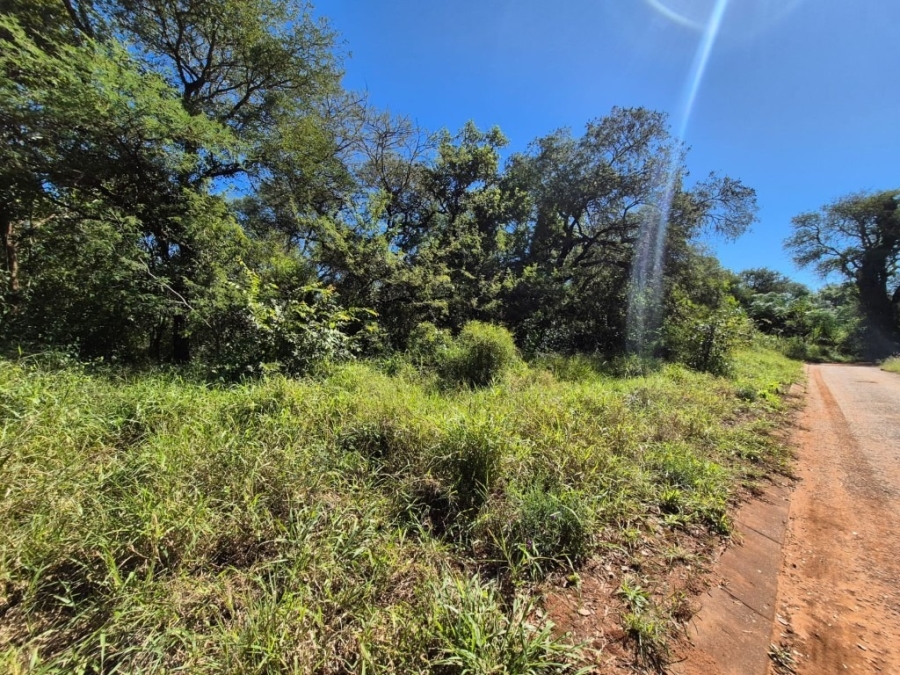 0 Bedroom Property for Sale in Gravelotte Limpopo