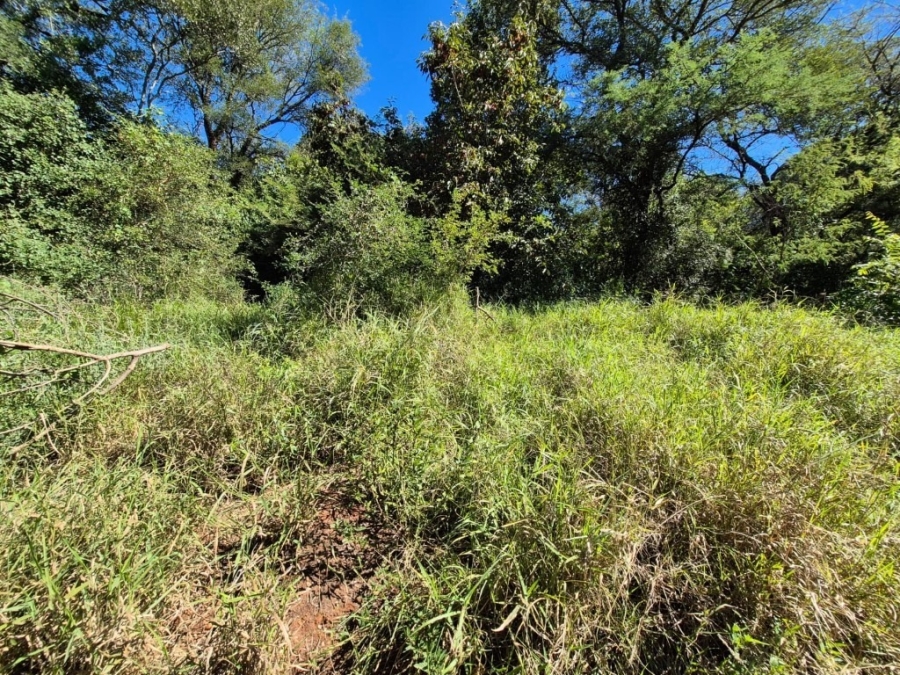 0 Bedroom Property for Sale in Gravelotte Limpopo
