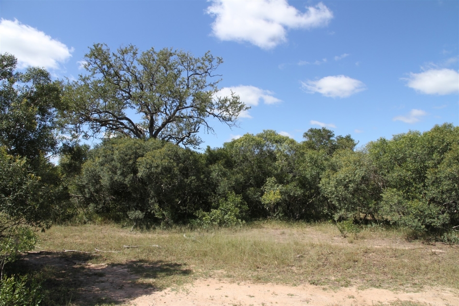 0 Bedroom Property for Sale in Moditlo Wildlife Estate Limpopo
