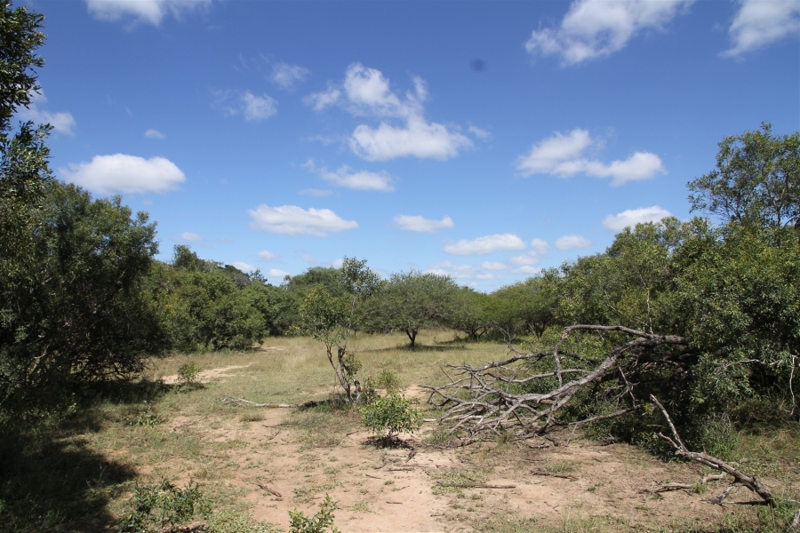 0 Bedroom Property for Sale in Moditlo Wildlife Estate Limpopo