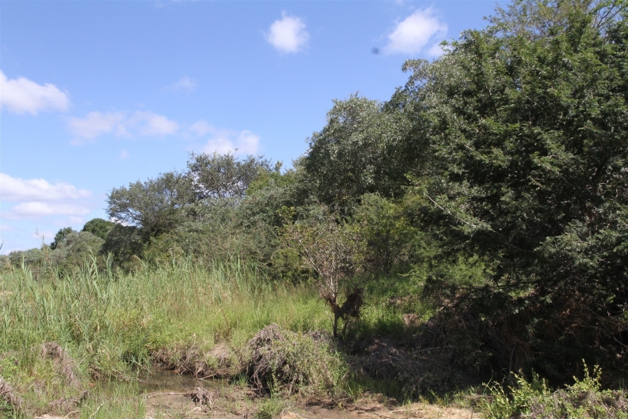0 Bedroom Property for Sale in Moditlo Wildlife Estate Limpopo