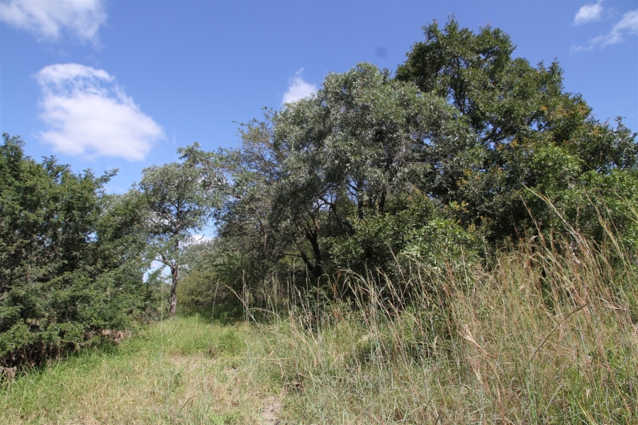 0 Bedroom Property for Sale in Moditlo Wildlife Estate Limpopo