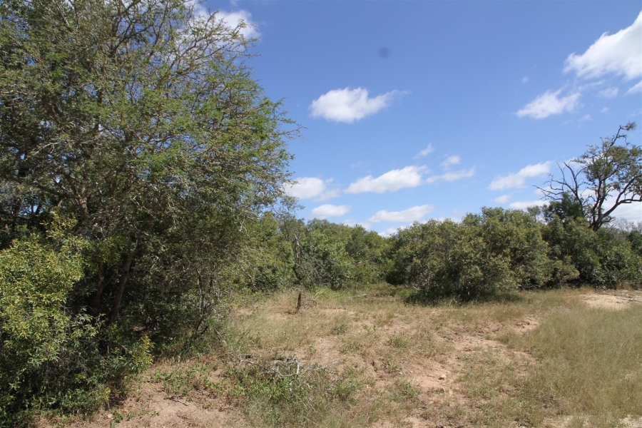 0 Bedroom Property for Sale in Moditlo Wildlife Estate Limpopo