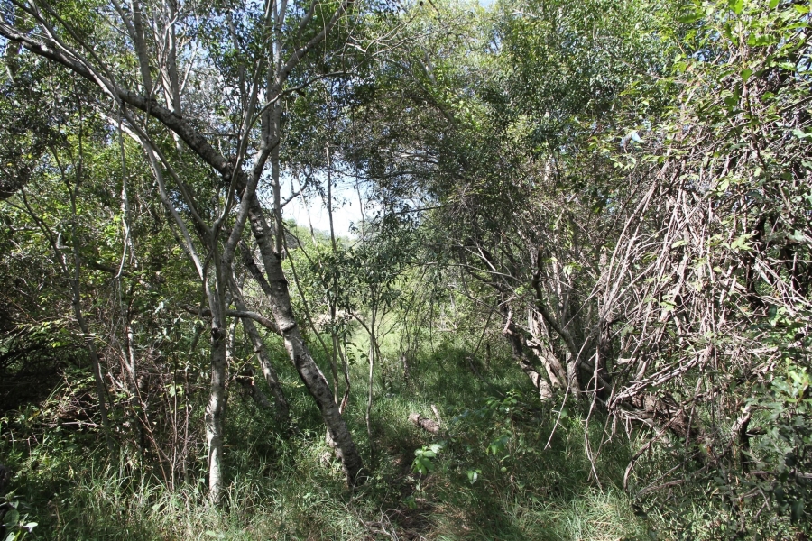 0 Bedroom Property for Sale in Moditlo Wildlife Estate Limpopo