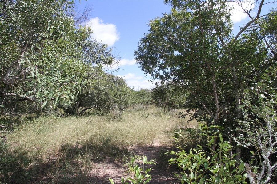 0 Bedroom Property for Sale in Moditlo Wildlife Estate Limpopo