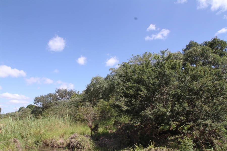 0 Bedroom Property for Sale in Moditlo Wildlife Estate Limpopo
