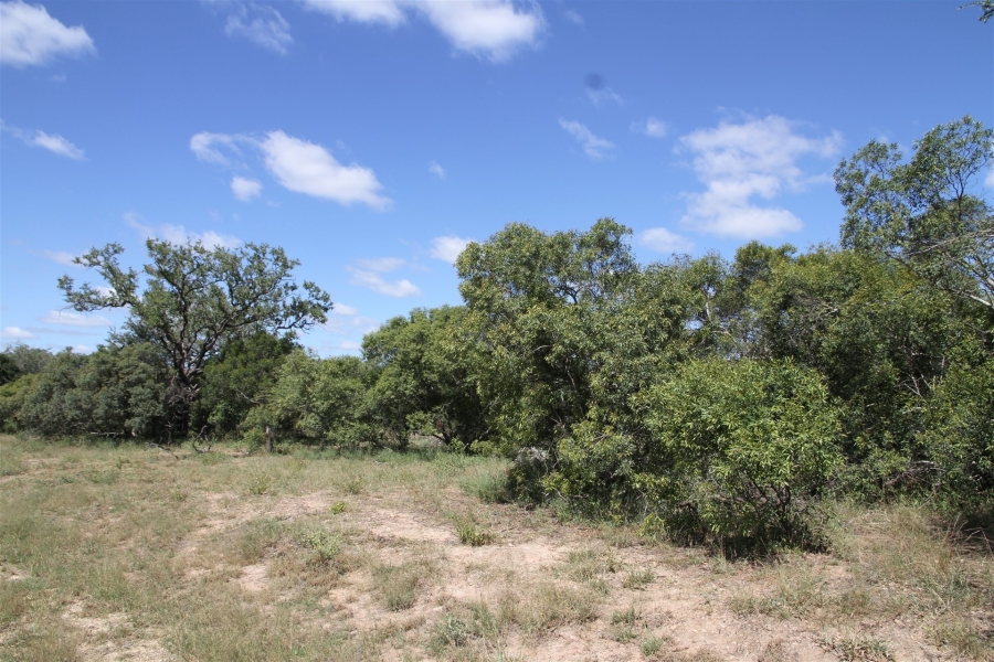 0 Bedroom Property for Sale in Moditlo Wildlife Estate Limpopo