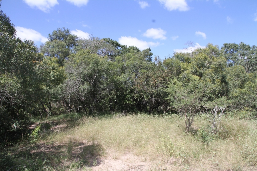 0 Bedroom Property for Sale in Moditlo Wildlife Estate Limpopo
