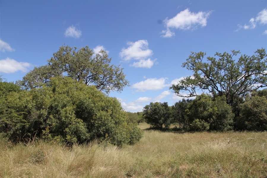 0 Bedroom Property for Sale in Moditlo Wildlife Estate Limpopo