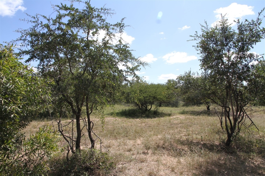 0 Bedroom Property for Sale in Moditlo Wildlife Estate Limpopo