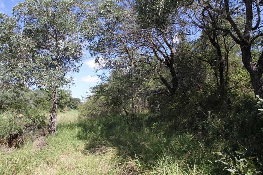 0 Bedroom Property for Sale in Moditlo Wildlife Estate Limpopo