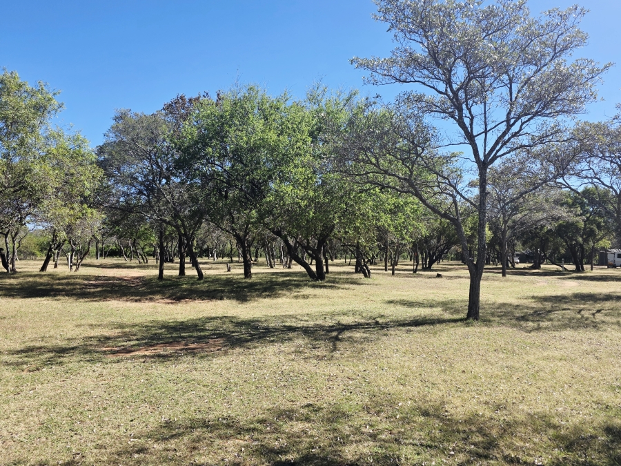 4 Bedroom Property for Sale in Buffelsdoorns AH Limpopo