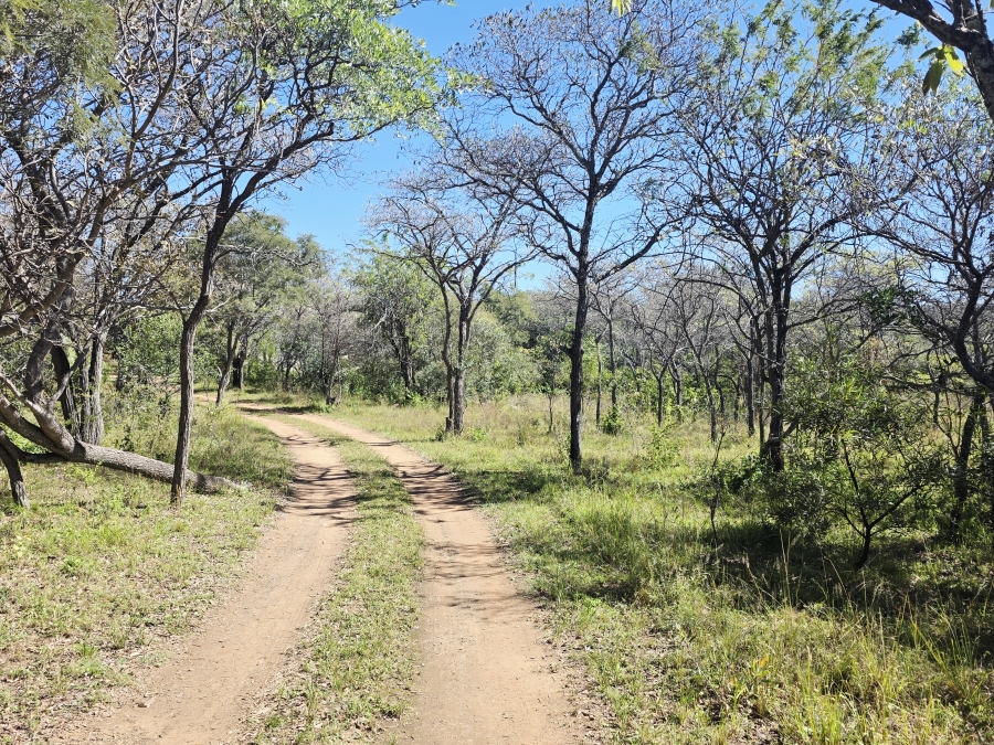 4 Bedroom Property for Sale in Buffelsdoorns AH Limpopo