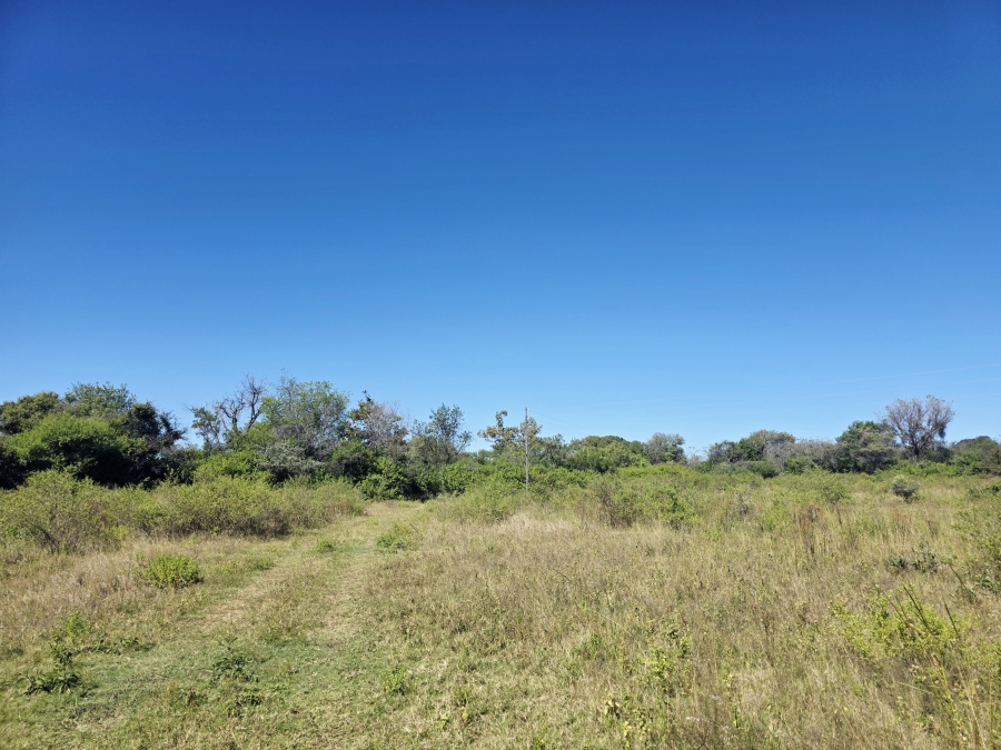 4 Bedroom Property for Sale in Buffelsdoorns AH Limpopo