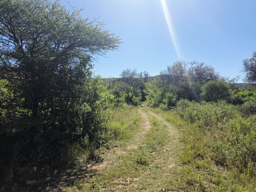 4 Bedroom Property for Sale in Buffelsdoorns AH Limpopo