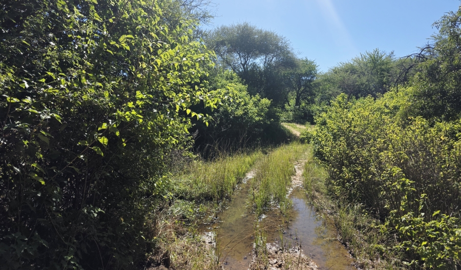 4 Bedroom Property for Sale in Buffelsdoorns AH Limpopo