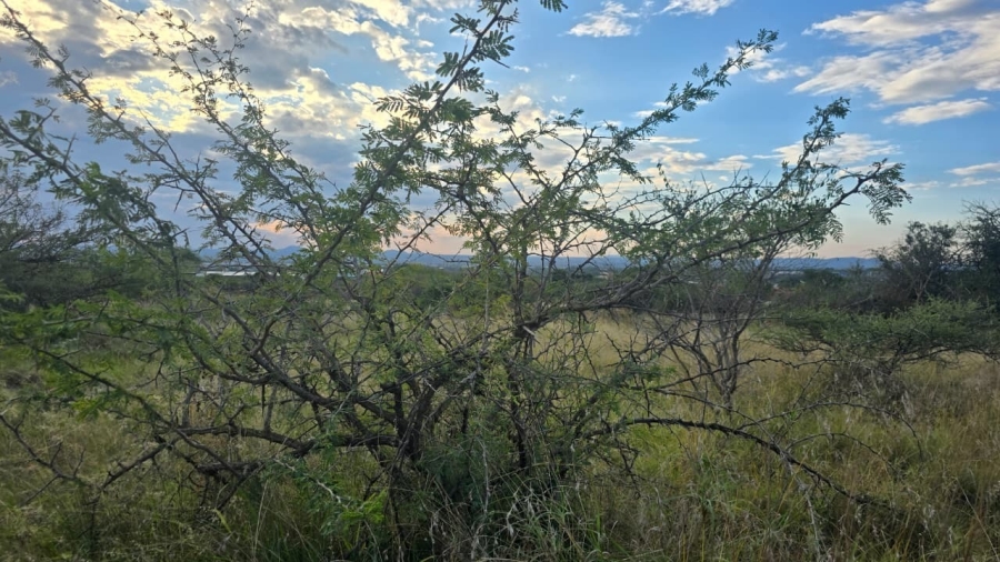 0 Bedroom Property for Sale in Bendor Limpopo