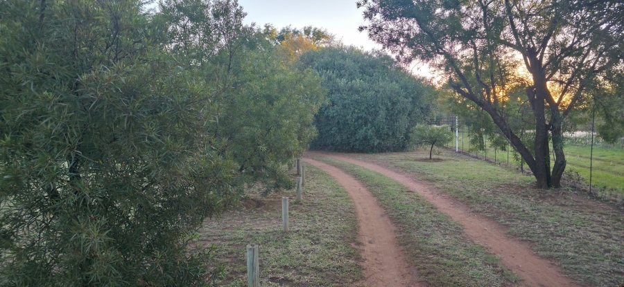 4 Bedroom Property for Sale in Bela Bela Limpopo
