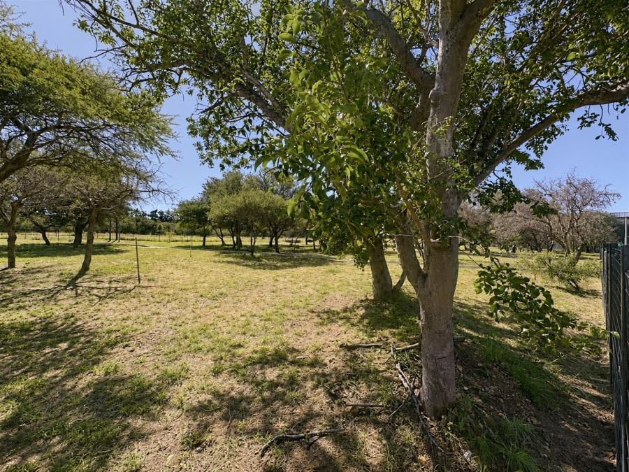 Commercial Property for Sale in Hoedspruit Limpopo