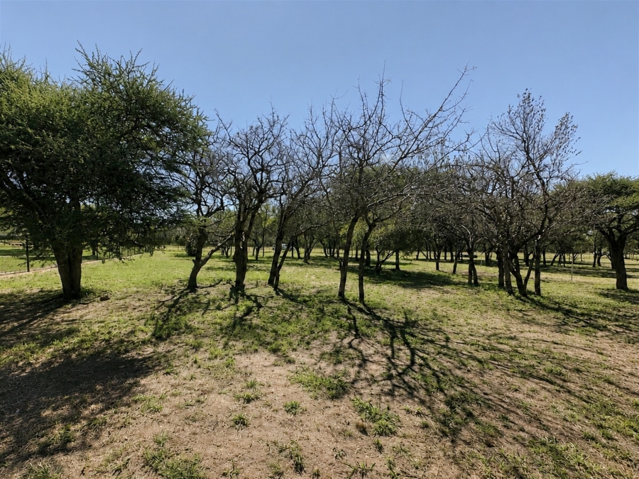 Commercial Property for Sale in Hoedspruit Limpopo