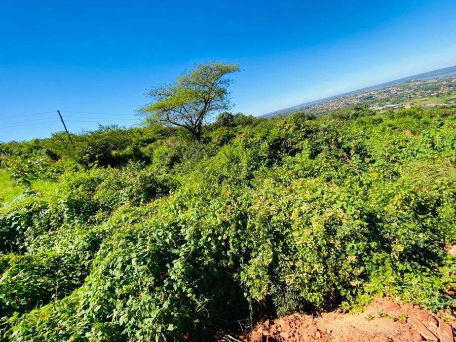 0 Bedroom Property for Sale in Thohoyandou Limpopo